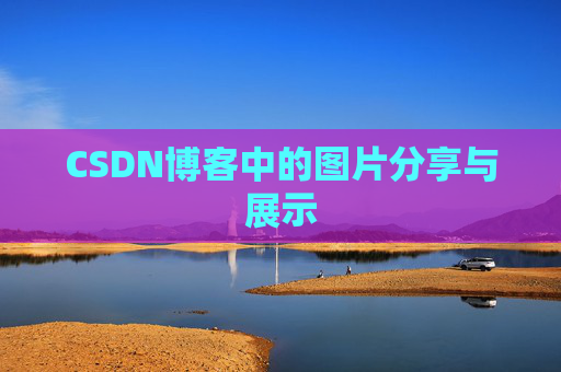 CSDN博客中的图片分享与展示